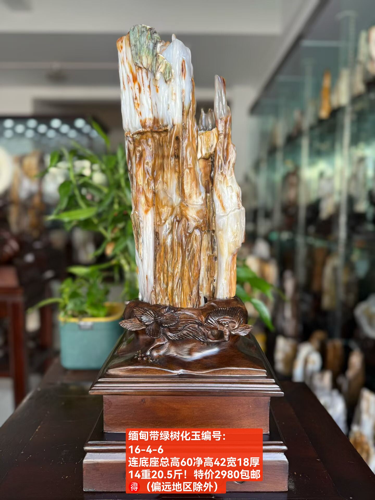缅甸冰彩树化玉原石摆件天然木化石招财镇宅风水石-Taobao-Tmall