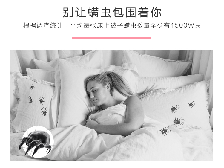 bình xịt côn trùng mosfly Châu chấu Nhật Bản dán hộ gia đình chống mite túi xịt khử mùi giường dùng một lần để cào cào - Thuốc diệt côn trùng lọ xịt muỗi