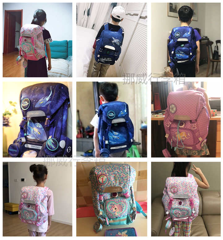 beckmann backpack price