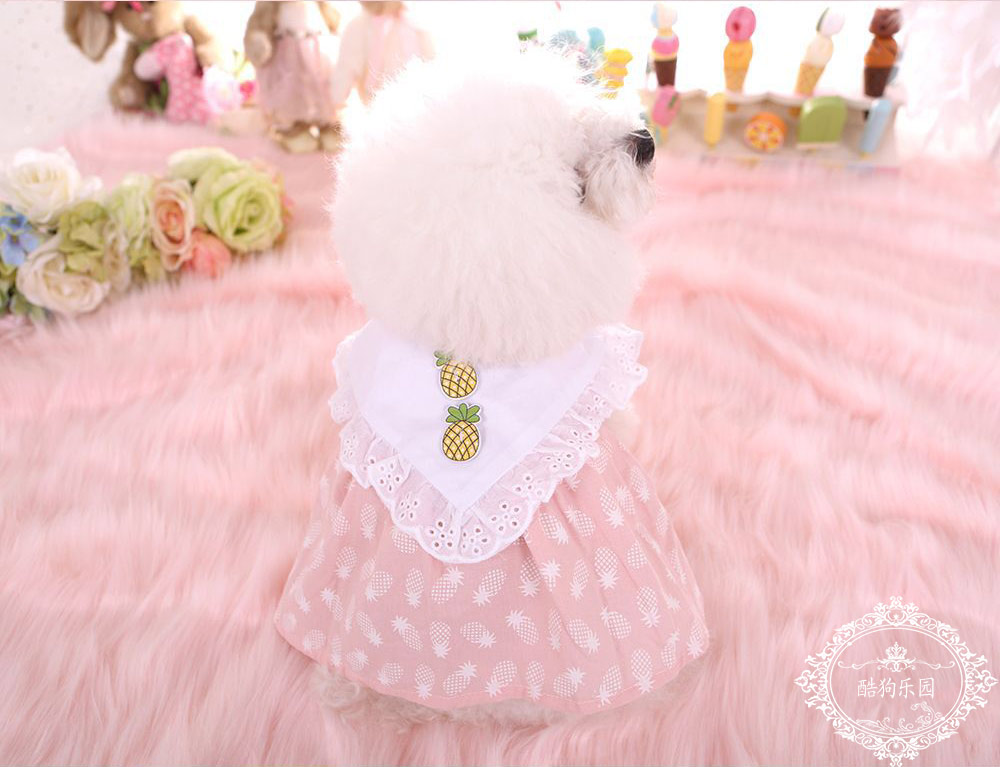 Dễ thương dứa búp bê váy thú cưng mèo mỏng con chó con chó nhỏ VIP Teddy váy trang phục mùa xuân và mùa hè - Quần áo & phụ kiện thú cưng quan ao cho cho