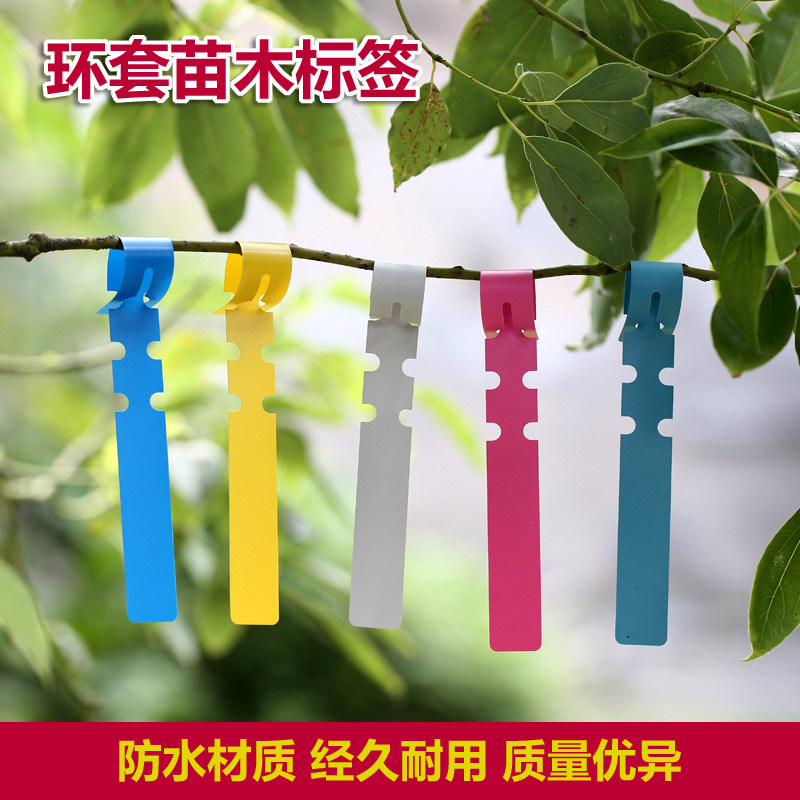 PVC Waterproof Ring Sleeves Flowers Plant Label Miao Wood Gardening Label Plastic Orchid Label Ring Buckle Marking Card