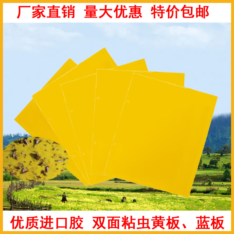 High-end Sticky Insect plate Yellow plate Trapping Plate Double Face to catch Aphid pink lice with small flying insect thistle deinsectised glue blue plate