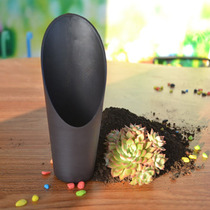 Succulent plant with soil planting tool bucket shovel plastic drum shovel gardening tool spatula