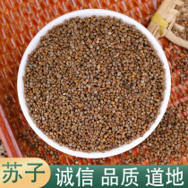 Perilla seeds black suzi red suzi fragrant suqing suzi 500g Chinese herbal medicine free grinding powder