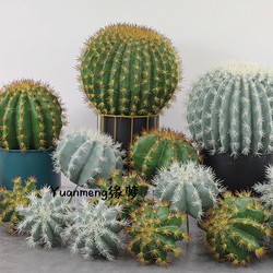 Simulated Cactus Potted Plants, Nordic Plant Landscaping Ornaments, Fake Green Plants for Decoration, Tropical Desert Green Plants for Window Display