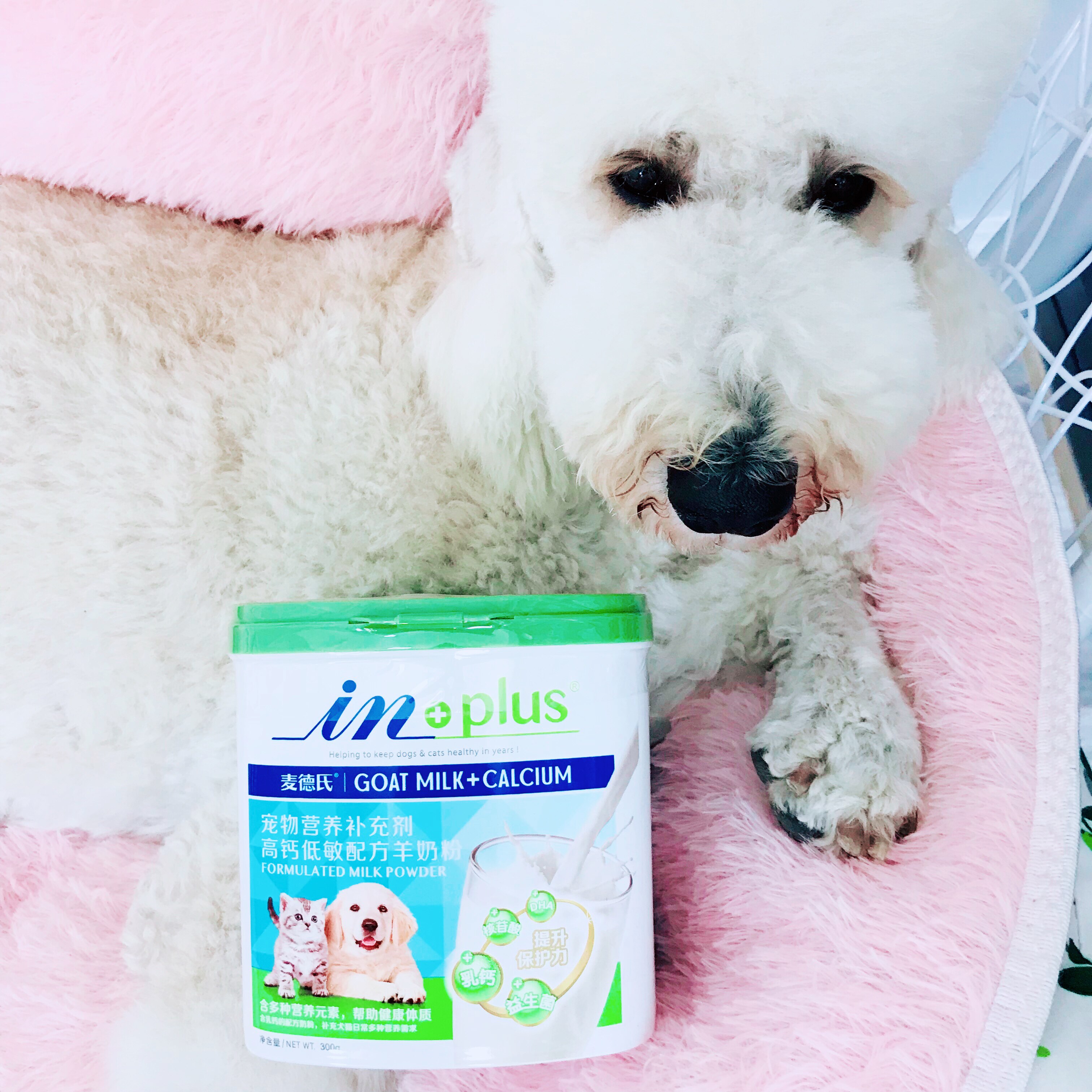 Madder's pet cat, dog, milk powder puppy Teddy Koke high calcium low - sensitivity lamb milk powder 300g