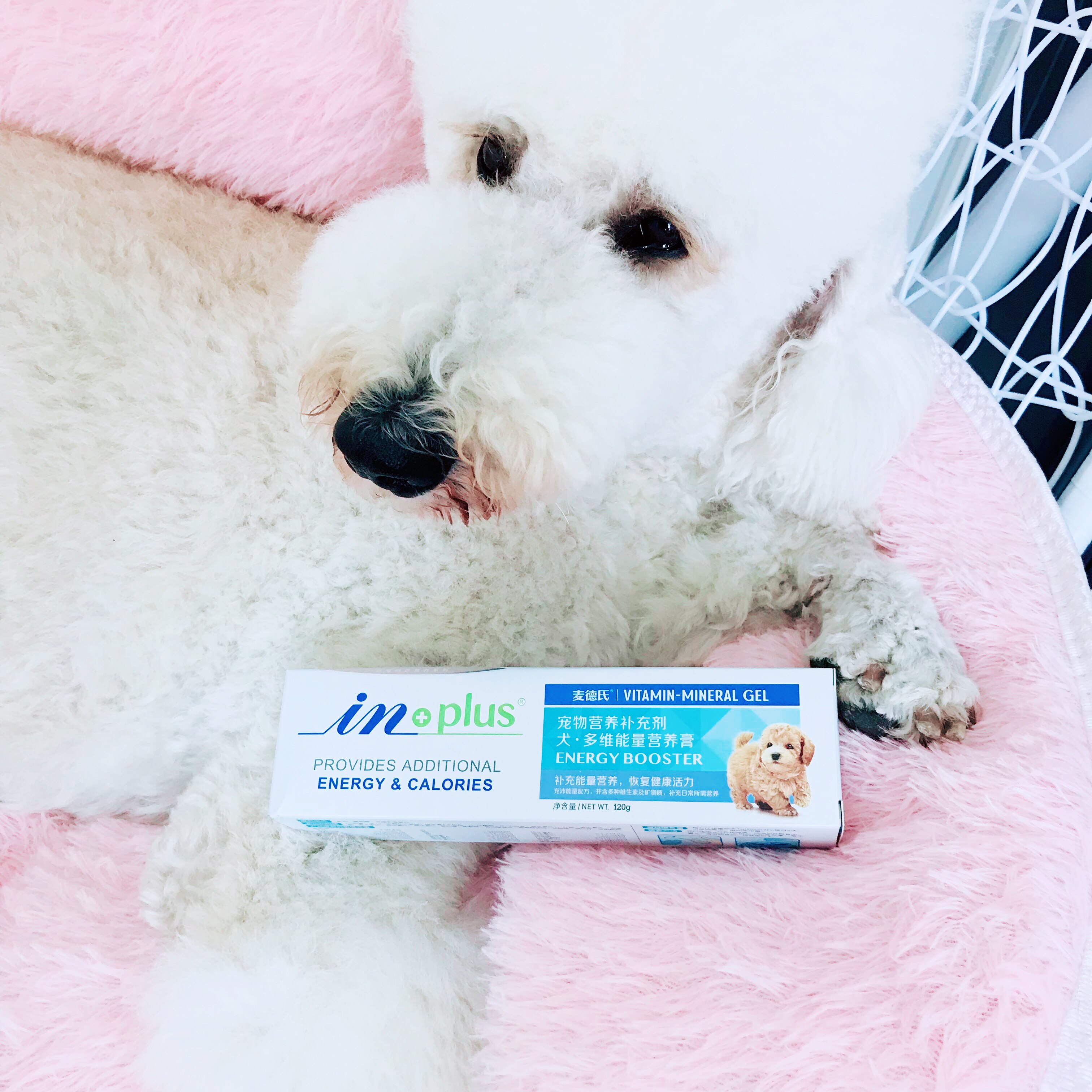 Med's fast-replenishing multi-dimensional nutrition cream pet dog bichon Bomeicheng puppy beauty hair vitamin 120g