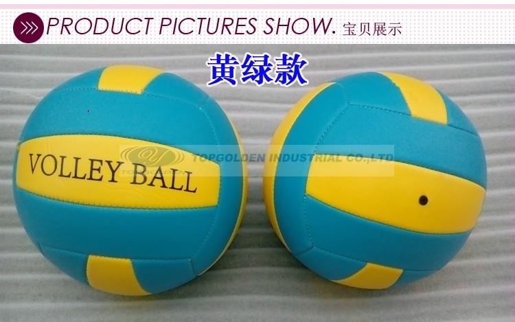Ballon de volley-ball - Ref 2009836 Image 8