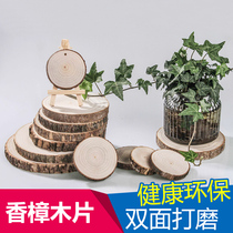 Natural camphor wood slices round leather logs camphor tree block tree wardrobe insect-proof camphor wood base coaster DIY background wall