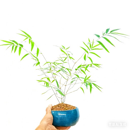 漳州内门竹基地批发的LOGO