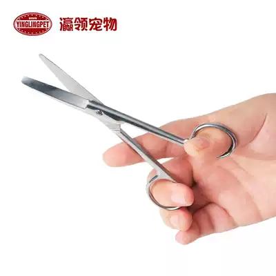 Pet umbilical cord scissors cat dog birth birth Pet Delivery Scissors Scissors umbilical cord production supplies