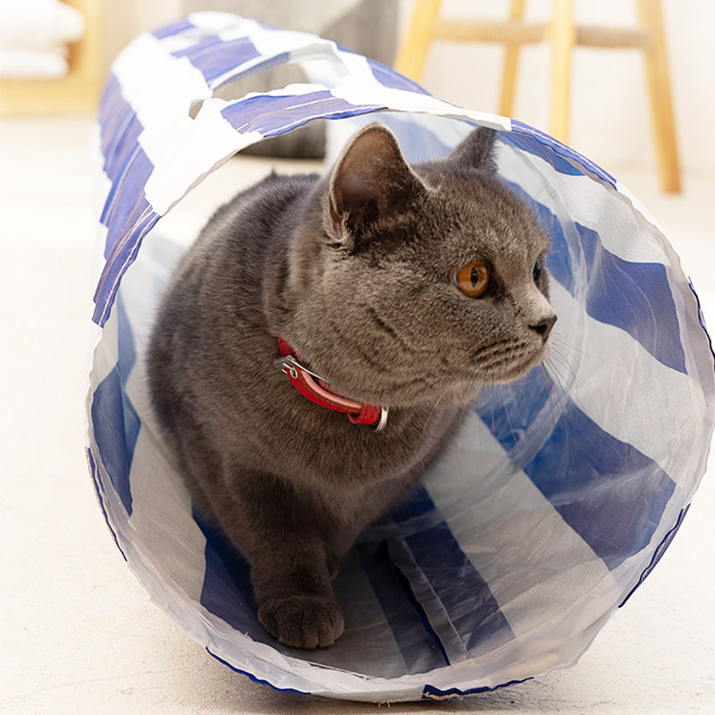 Cat Tunnel Aisle Cat Nest Rolling Earthworms Combined Seasons Universal Teasing Cat Toys Can Fold Kitty Supplies Cat Toys