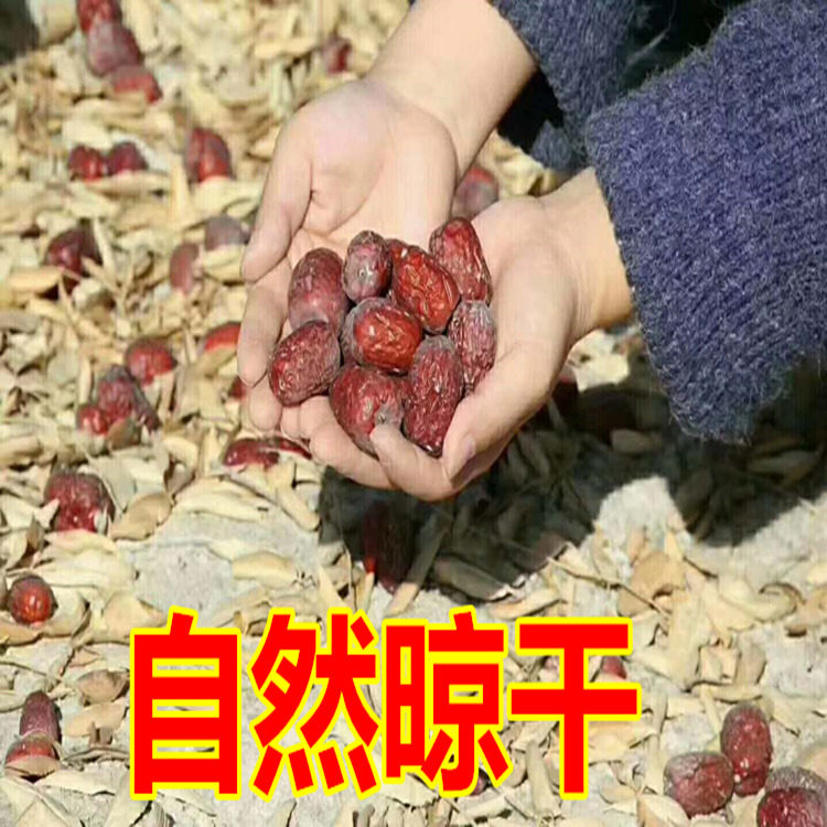 Xinjiang grey dates 2021 New Zaozao 1st class Zheng Zongqiang Zaoqiang Zaoqiang Zaozaozao Zaozaozaoyuan Zaozaozaoyuan 2500