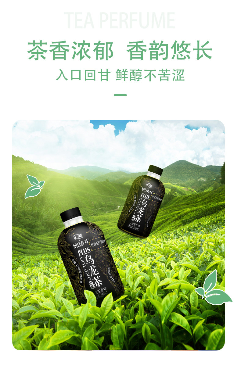 汇源 无糖乌龙茶 350ml*6瓶 图4