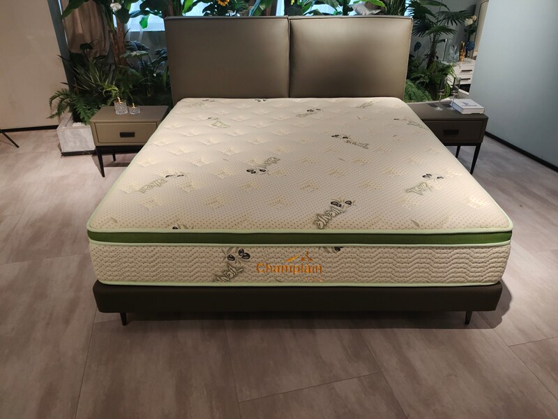 Champlain Mattress Natural Independent Pocketed Spring Aloe Vera Mattress