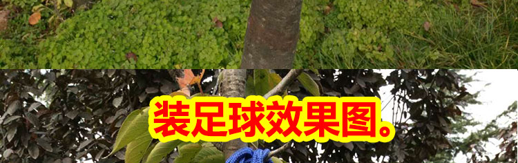 Hàng ngày đặc biệt bóng rổ net túi màu xanh bóng net túi màu xanh bóng net túi bóng đá net túi net túi trẻ em bóng rổ túi 	quần áo ba lỗ bóng rổ