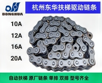 Donghua original escalator drive chain handrail drive chain double row drive chain 16A-2 16B 20A