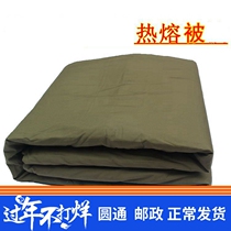 Quilt Empty Green Housekeeping Quilt Single bed quilt in student dormitory