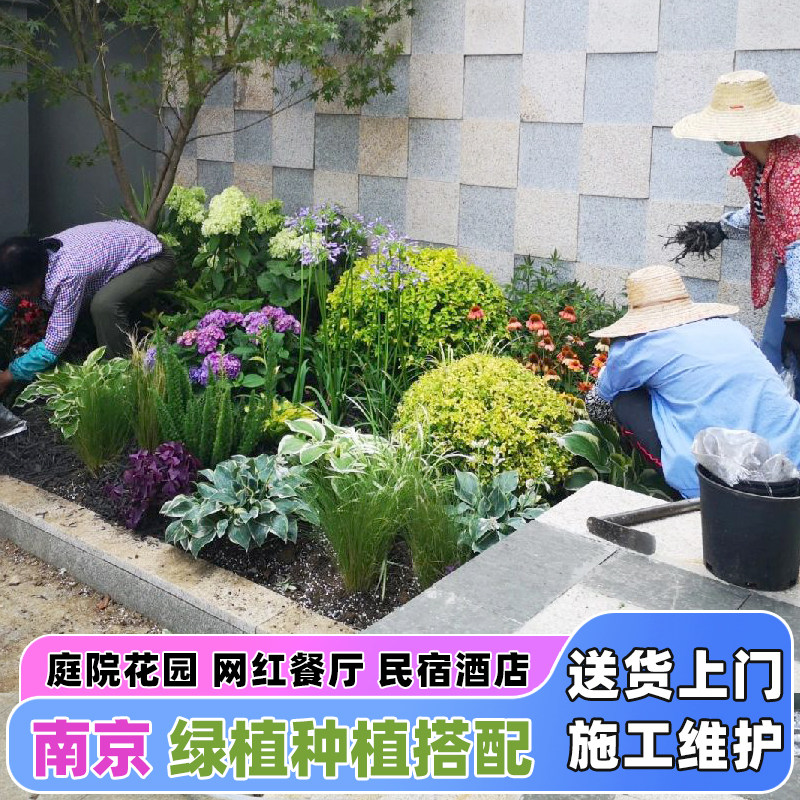 庭院别墅院子花境组合植物搭配设计施工有哪些要点？打造网红餐厅民宿天台花园绿化必备技巧！-园艺设计服务-淘宝好物网