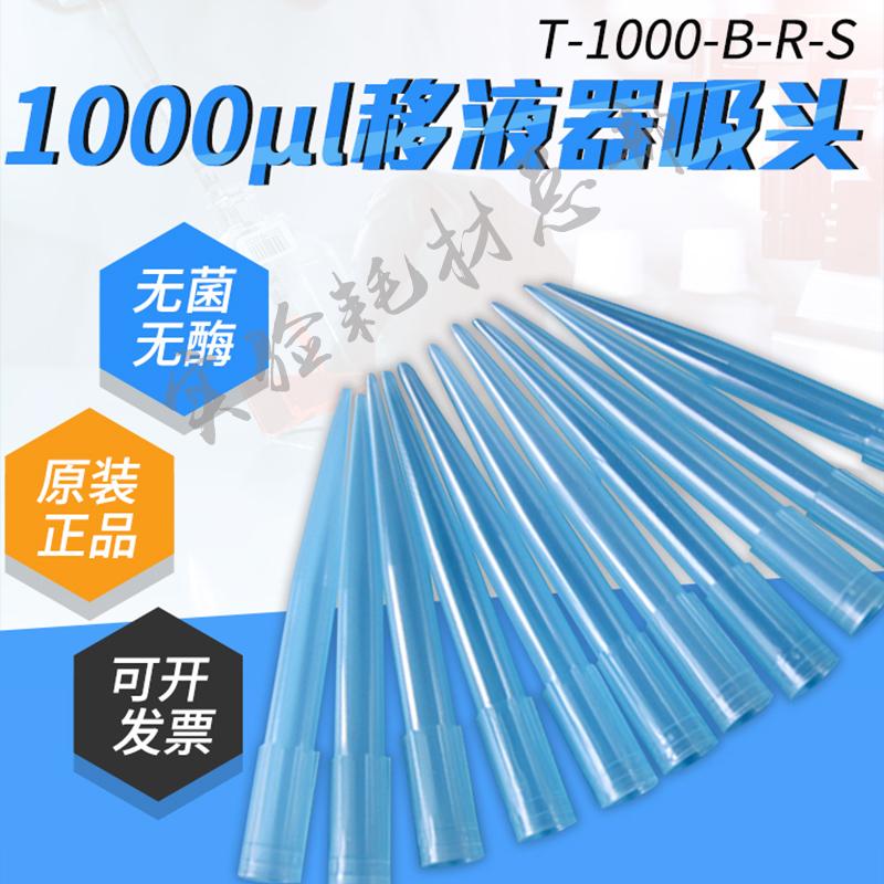 Love to be in the T-1000-B-R-S suction head