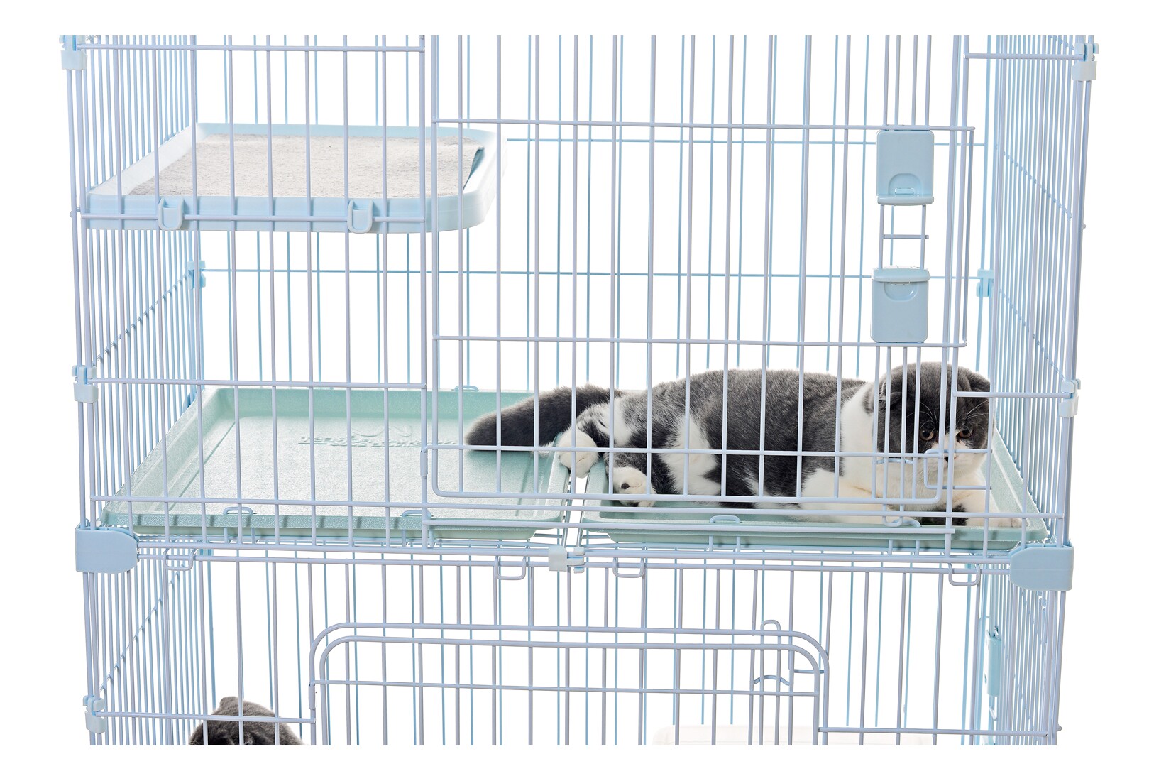 Norwegian Forest V8 Cat Cage Special to isolate a layer of accessories (not a cage non-please don't shoot)