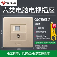 【G07 Gold Gold】 Шесть типов компьютеров+телевизор