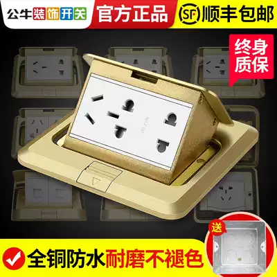 Bull ground socket full copper waterproof splashing seven-hole undamped hidden invisible five-hole floor floor household concealed