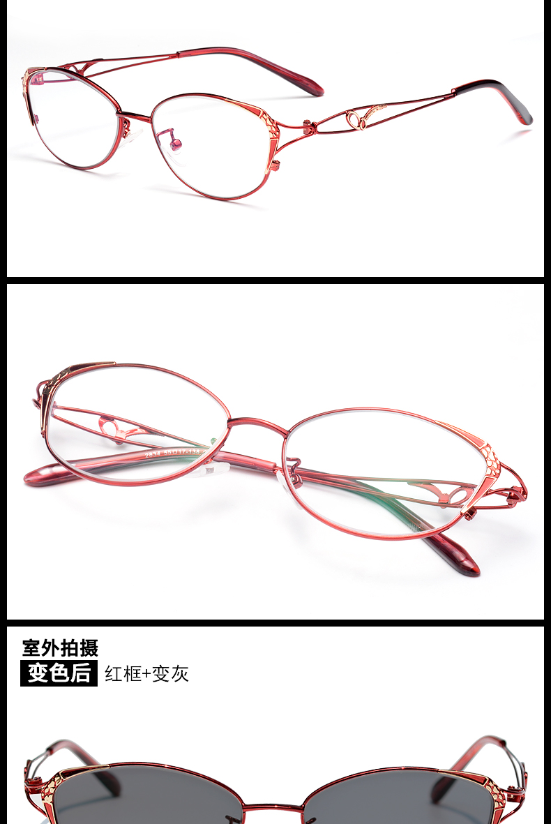 Montures de lunettes en Tole - Ref 3141445 Image 19