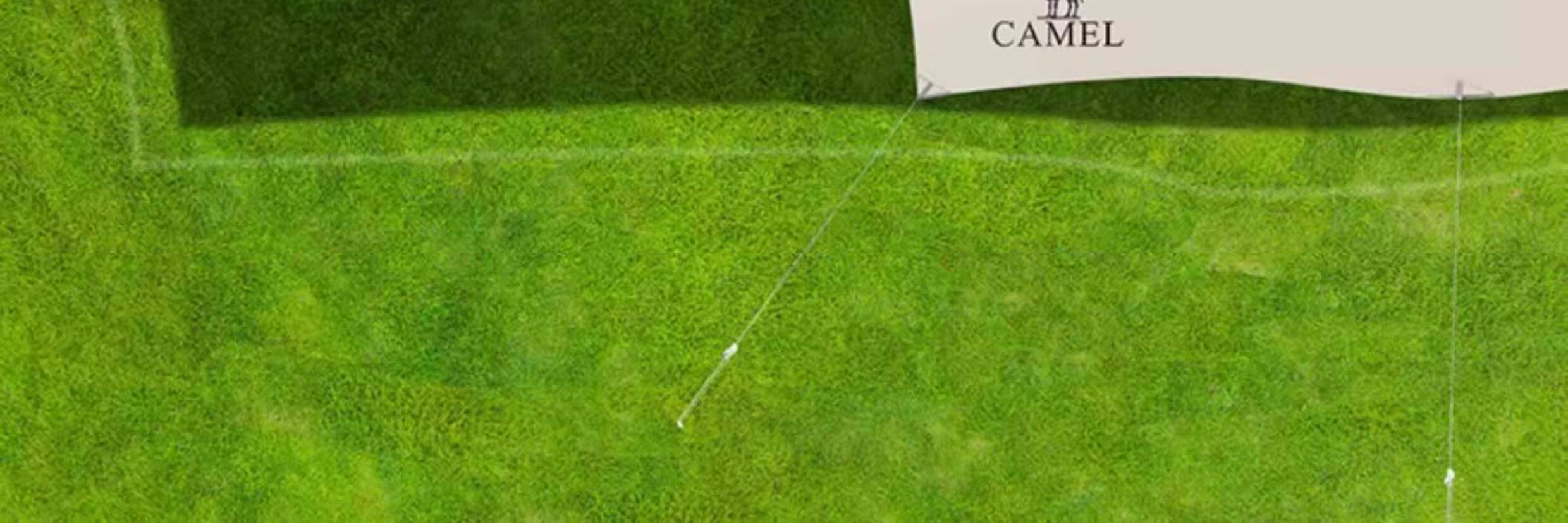 Атриум None Camel