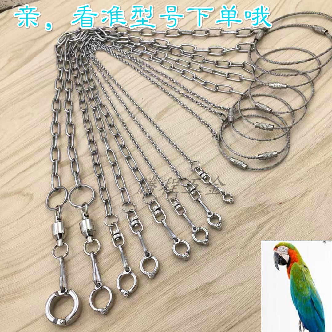 Thép không gỉ chuỗi chim chân vẹt / vòng chân vẹt Magpie Buddy Shrike chim bồ câu đứng chân vòng - Vòng chân vòng chân bạc nữ đẹp
