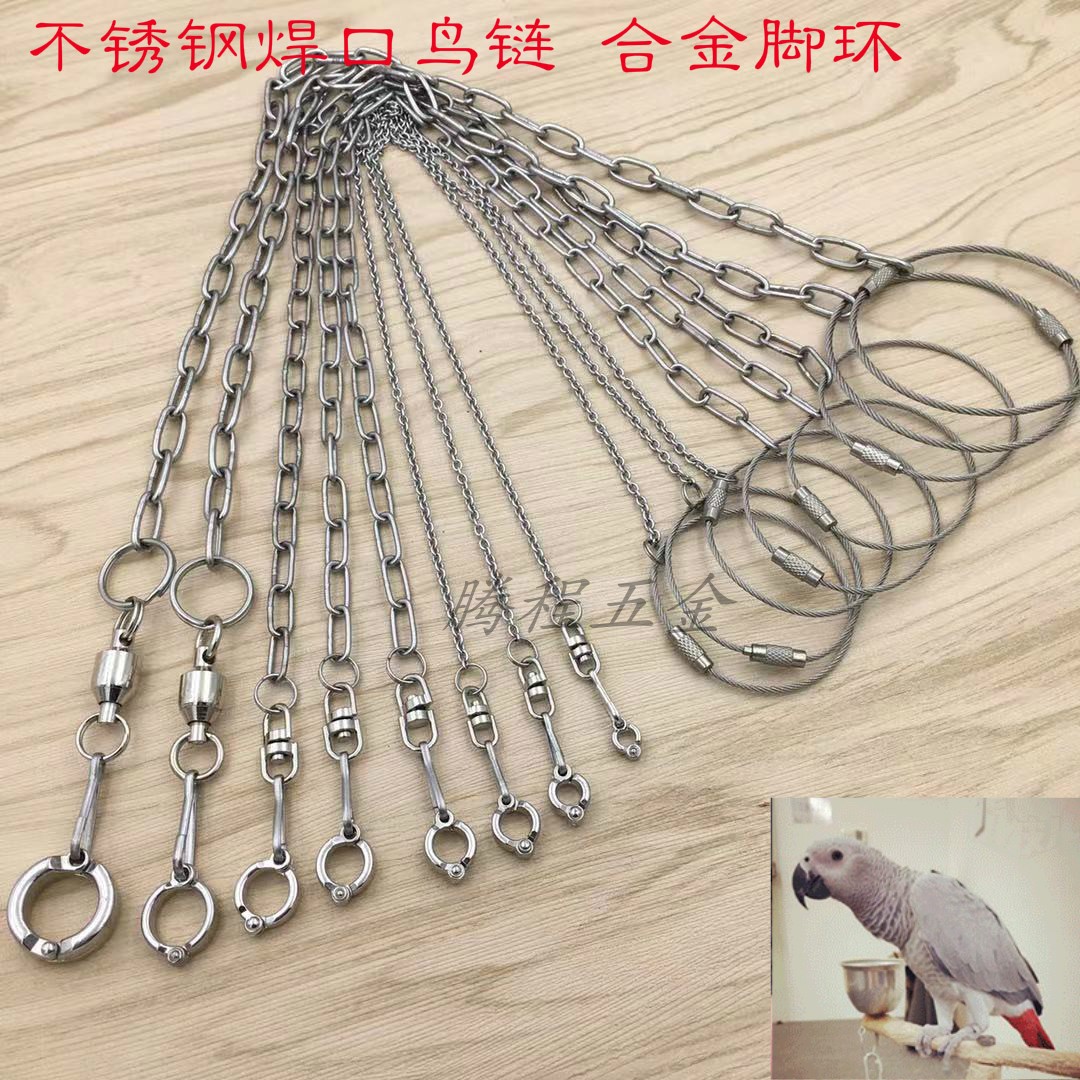 Thép không gỉ chuỗi chim chân vẹt / vòng chân vẹt Magpie Buddy Shrike chim bồ câu đứng chân vòng - Vòng chân vòng chân bạc nữ đẹp