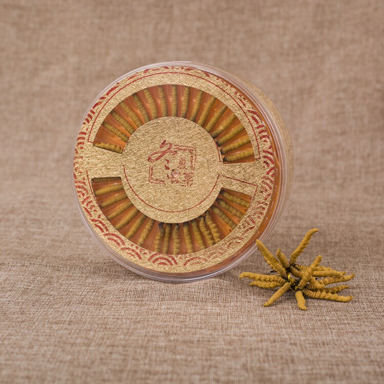 New Cordyceps inner box high-end gift box device single tie flower 50g cordyceps sinensis plastic box wholesale