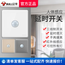 Bull Intelligent Human Body Infrared Sensor Switch 86 Type Panel Automatic Delay Time-Controlled Corridor Aisle Sensor Light