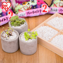 Alice Perlite horticultural ventilation nutrient soil mud fertilizer fleshy green plant flower paving stone mixed soil perlite