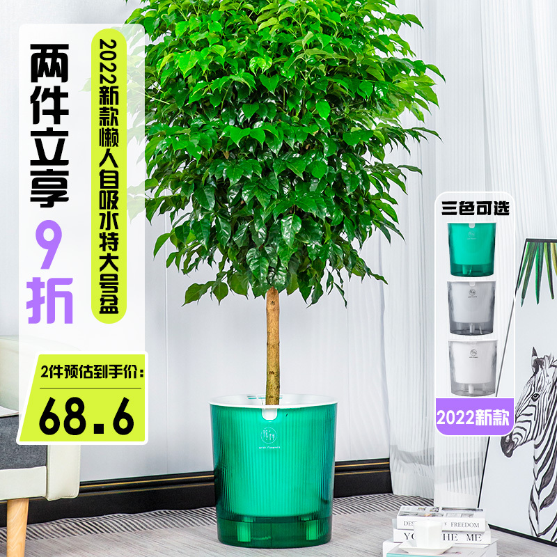 Self-Watering Lazy Pot for Indoor Plants Like Bird of Paradise, Areca Palm, and Money Tree, Suitable for Living Room Floor, Deep and Thickened Design Self-Watering Lazy Pot for Indoor Plants Like Bird of Paradise, Areca Palm, and Money Tree, Suitable for Living Room Floor, Deep and Thickened Design