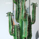 Scandinavian ins Style Simulated Cactus Plant Potted Indoor Bonsai Decoration Large Fake Green Plant Office Decoration
