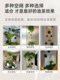 Guling Yisheng Spherical Plant Hanging Ceiling Decoration Pendant, Simulated Green Plant Moss Ball, Indoor Landscape Window Display
