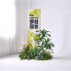 Simulated Plant Landscaping for Restaurants, Popular Photo Spots, Camping-Style Interior Decoration, Tropical High-End Bionic Green Plants
