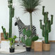 Scandinavian ins Style Simulated Cactus Plant Potted Indoor Bonsai Decoration Large Fake Green Plant Office Decoration