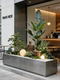 Large-Scale Simulated Green Plants, Landscaping Plants, Indoor Decoration, High-End Light Luxury Office Window Display, Fake Trees under Stairs