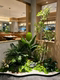 Artificial Green Plant Landscaping for Indoor Entrance Corner, Fake Plant Floor-Standing Decoration, Scene Arrangement, and Aesthetic Display