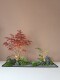 Simulated Plant Landscaping Entrance Balcony Landscape Layout Indoor Building New Chinoiserie Decoration Bionic Green Plant Landscaping Combination