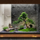 Large Artificial Pine Tree in the Style of Welcoming Pine, Fake Tree, New Chinese-Style Landscape Rockery, Entrance Floor-Standing Ornament