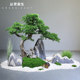 Large Artificial Pine Tree in the Style of Welcoming Pine, Fake Tree, New Chinese-Style Landscape Rockery, Entrance Floor-Standing Ornament