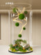 Guling Yisheng Spherical Plant Hanging Ceiling Decoration Pendant, Simulated Green Plant Moss Ball, Indoor Landscape Window Display
