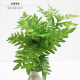 Simulated plants, high simulation feel ferns, tropical maidenhair fern artificial plants, fake plants, simulated green plants