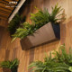 Simulated plants, high simulation feel ferns, tropical maidenhair fern artificial plants, fake plants, simulated green plants