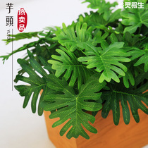 Green Leaf Decoration Vines Emulation Leaf Fake Plant Simulation Green Planting Potted Plant Decoration Green Leaf Simulation Grass Simulation Plant