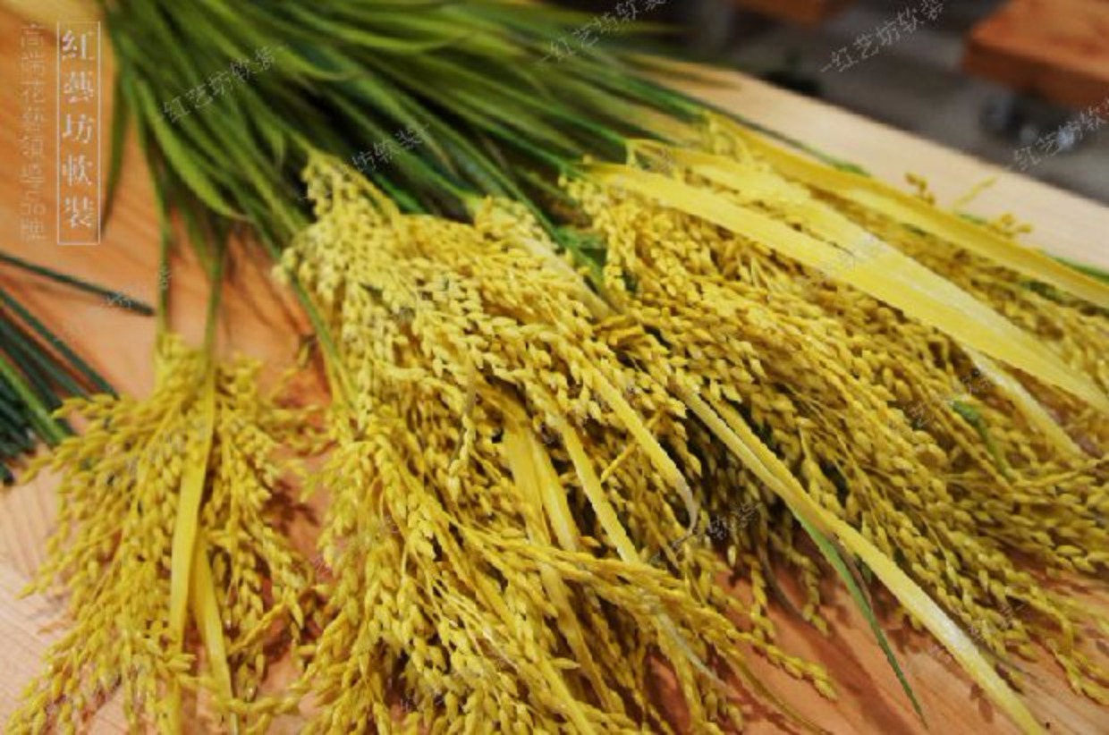 Cao mô phỏng gạo vàng xanh trang trí gạo giả, tai, lúa mì, lúa mì, hoa khô, kiểu nông thôn (a) - Hoa nhân tạo / Cây / Trái cây hoa giả để bàn thờ