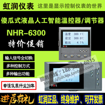 Hongrun Instrument Industrial Liquid Level Pressure Flow Temperature Humidity Liquid Crystal PID Intelligent Regulator NHR-6310AC